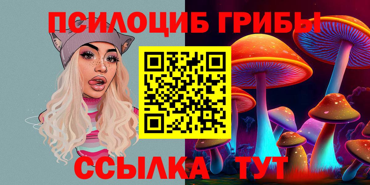 где найти наркотики  Вход с VPN  Красноярск  Псилоцибиновые грибы ЛСД  Псилоцибиновые грибы прущие грибы 